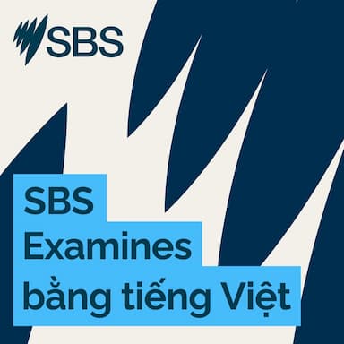 Introducing: Our Pacific - SBS Examies giới thiệu loạt bài Our Pacific - Thái Bình Dương của chúng ta