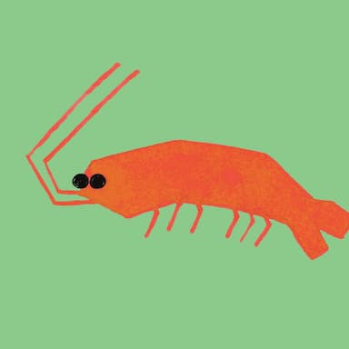 Seafood: Cooking inspiration, mercury magnet, cultural storyteller