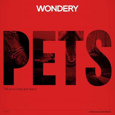 Armchair Anonymous: Pets