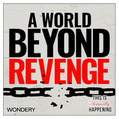 352: A World Beyond Revenge: What if they got the wrong guy?
