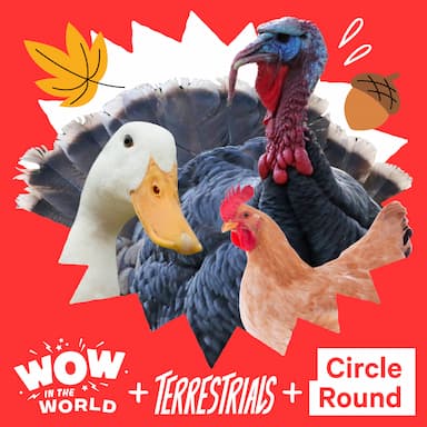 A Podcast Turducken: With Wow in the World, Terrestrials and Circle Round (11/17/25)