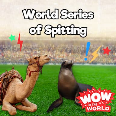World Series of Spitting