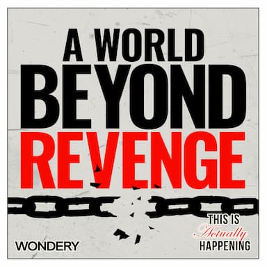 355: A World Beyond Revenge: What if you identified the wrong man?