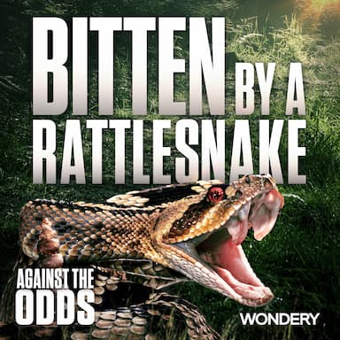 In Their Own Words: Bitten by a Rattlesnake | 1