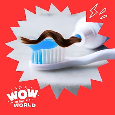 Hair Today, Teeth Tomorrow: Keratin’s Surprising Smile-Repair Superpower!