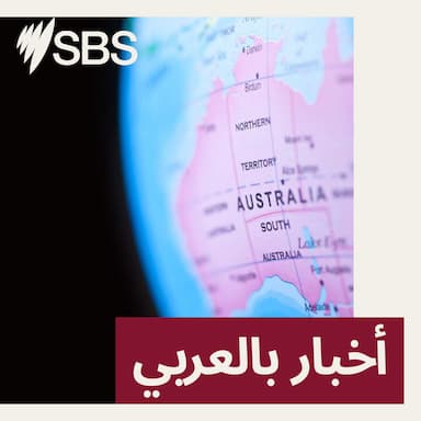 نشرة أخبار الصباح 19/03/2026