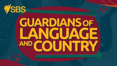 Western Yalanji: Connecting to language and Country through virtual reality