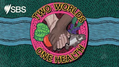 Walking Together: How Yolŋu and researchers are changing health stories together